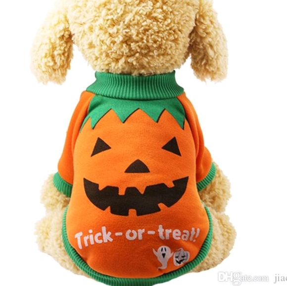 FLASH SALE - Doggie Outfits/Costumes - Picture 6 of 6
